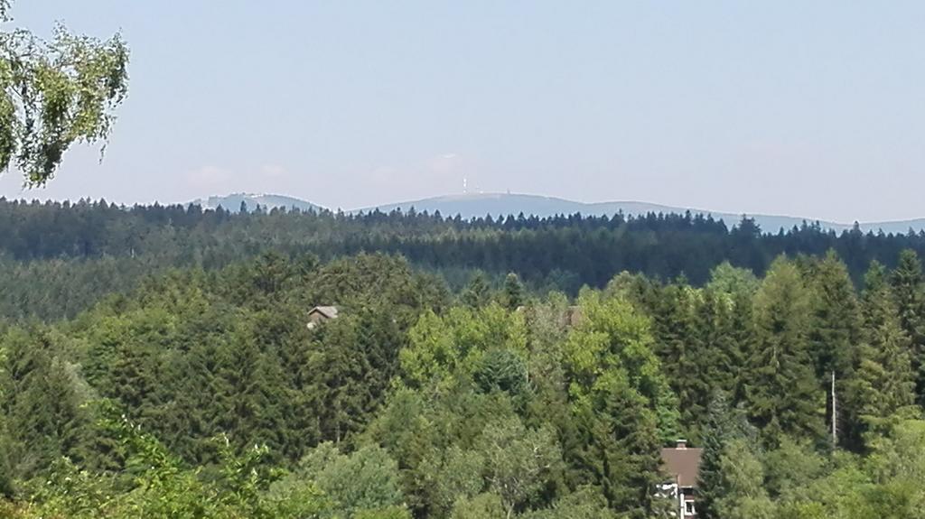 Ferienwohnung Harzluchs Mit Balkon, Netflix Und Sauna Im Haus Hohegeiss Room photo