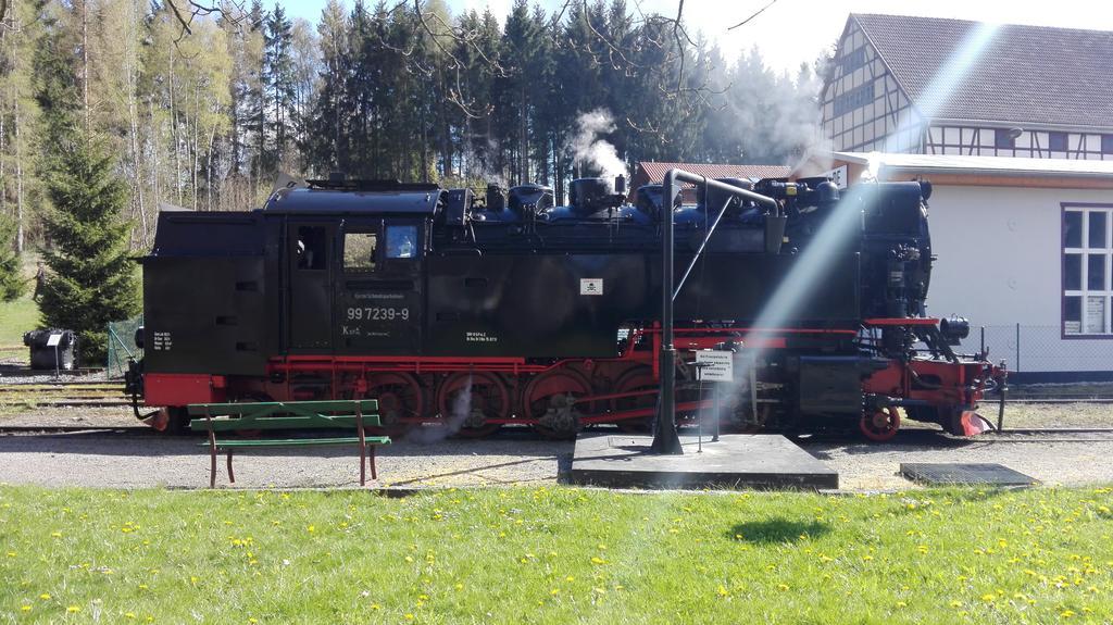 Ferienwohnung Harzluchs Mit Balkon, Netflix Und Sauna Im Haus Hohegeiss Exterior photo